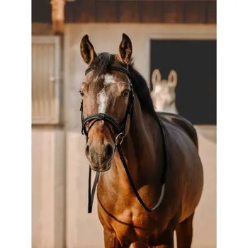 Uzdečka ERIC THOMAS Work s anglickým nánosníkem černá COB