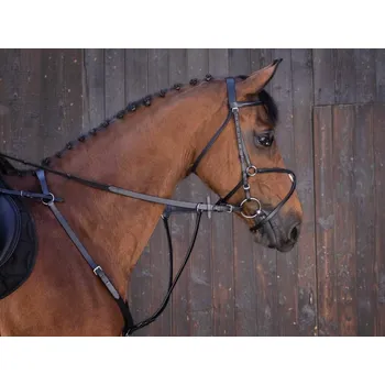 Martingal Martingal RIDING WORLD black