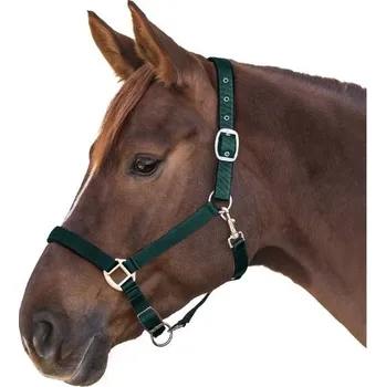 Vybavení pro koně Ohlávka WALDHAUSEN Satin fir green PONY