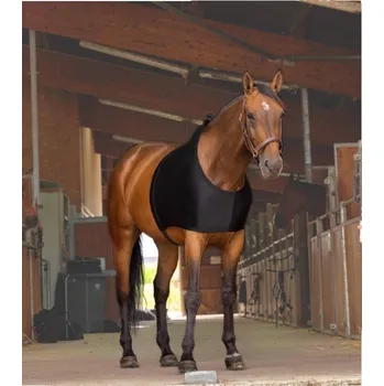 Vesta pod deku EQUITHEME černá (L)