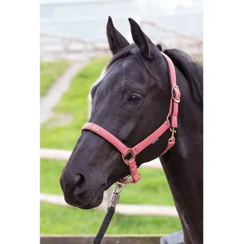Ohlávka HARRY'S HORSE Bit růžová PONY