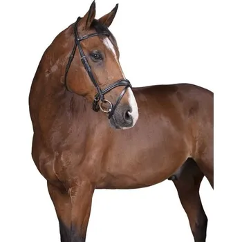 Uzdečka NORTON PRO Vague se švédským nánosníkem černá COB