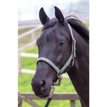 Ohlávka HARRY'S HORSE Bit zelená COB