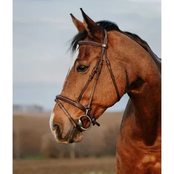 Uzdečka NORTON CLUB Easy s anglickým nánosníkem havana FULL