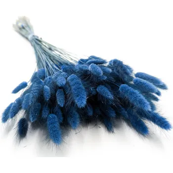 mech-mech.cz Sušený Králičí ocas - (Lagurus) - Modrý