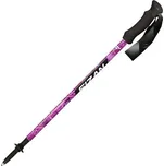 Fizan Compact MS Magenta trekové hole