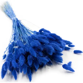 mech-mech.cz Sušený Králičí ocas - (Lagurus) - Tmavě modrý