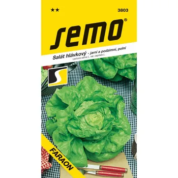 Semeno Semo Salát jarní - Faraon polní (podzimní) 0,6g - VÝPRODEJ