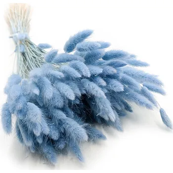 mech-mech.cz Sušený Králičí ocas - (Lagurus) - Blankytný