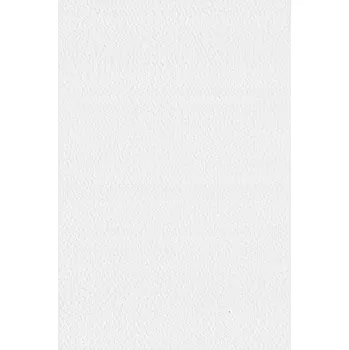 Papír pro tiskárny Bílý bristolový papír pro výtvarníky 250g SRA3 10 listů