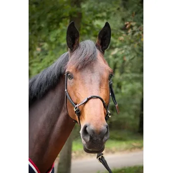 PENELOPE Ohlávka provazová Penelope, havana/black FULL