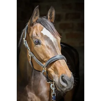 PENELOPE Ohlávka kožená Point Sellier Penelope, černá COB