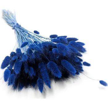 mech-mech.cz Sušený Králičí ocas - (Lagurus) - Dark Blue