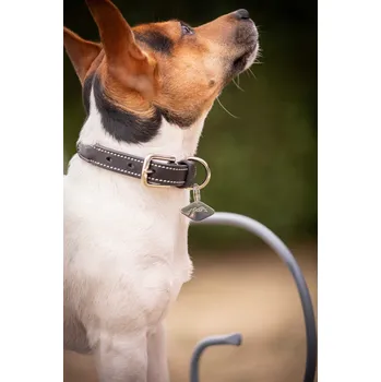 Obojek pro psa PENELOPE Obojek pro psy Olie Penelope, havana 30 cm