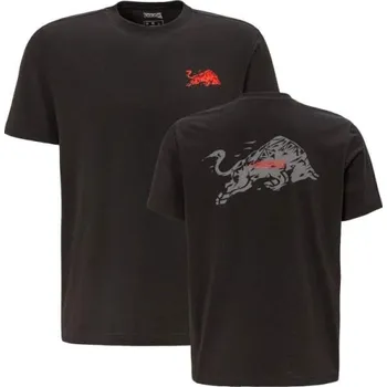 Pánské tričko Volnočasové tričko Red Bull Ring ECLIPSE černé s motivem RRI S