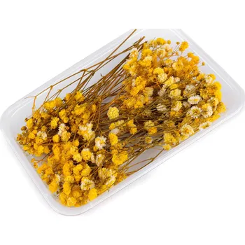 umělá květina Sušený / stabilizovaný nevěstin závoj pro suché i mokré aranžování Varianta: 2 žlutá krabička, Balení: 1 krab.