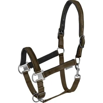 Vybavení pro koně Ohlávka WALDHAUSEN Athletic green/brown PONY
