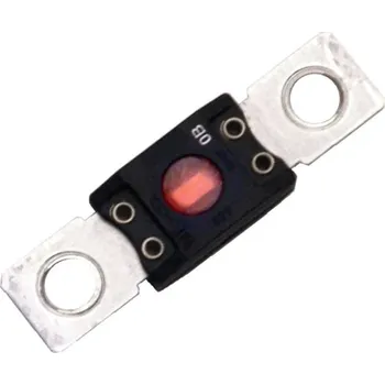 Autopojistky VOTRONIC Pojistka proti vysokému zatížení 100 A