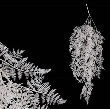 umělá květina Kapradí - umělá převislá větev, barva bílá