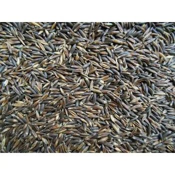 Krmivo pro koně Krmné směsi Kvídera Oves černý 25 Kg