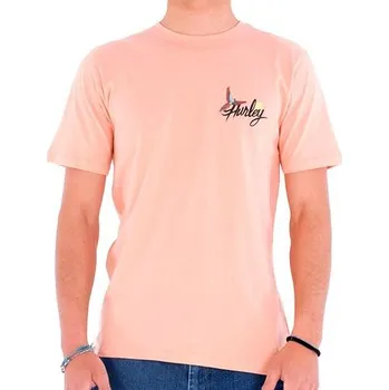 Pánské tričko Pánské triko Hurley Everyday Wash Parrot Bay - Everyday Wash Parrot Bay - 3425227