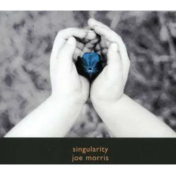 Zahraniční hudba CD Joe Morris: Singularity 2016