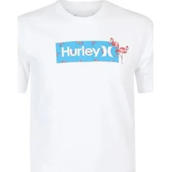 Pánské tričko Pánské triko Hurley Evd Wash Ditsy Box - Everyday Washed Ditsy Box - 3425285