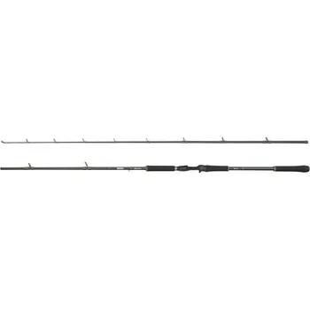 Rybářský prut Prut Abu Garcia Beast X2 Casting Rod 2,29m 30-90gr