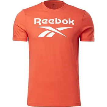 Pánské tričko Triko Reebok RI Big Logo Tee