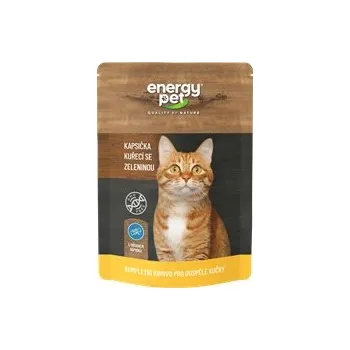 Krmivo pro kočku Energy Pet kapsa kočka 100g kuř zelenina
