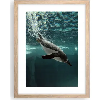 Obraz Obraz plakát v rámu světlý dub do obýváku 30x40 tučňák plakáty na zeď