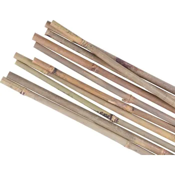 Opora na rostlinu Strend Pro Garden KBT 2210153 1,4-1,6 x 180 cm 10 ks