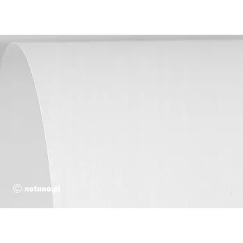 Kancelářský papír Vizitkový papír A4 Aster 250 g/m2, 400 listů