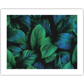 Obraz Obraz plakát na zeď bez rámu 50x40 listy foto plakáty obývací pokoj ložnice