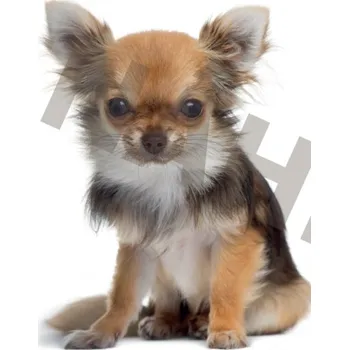 Klíčenka plastová s motivy zvířat