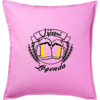 Polštář Výčepní legenda - Polštář 50x50 - 50x50 - Pouze potah ( Růžová )