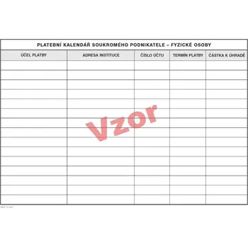 Tiskopis Peněžní deník pro neplátce DPH minimální povinné členění příjmů a výdajů