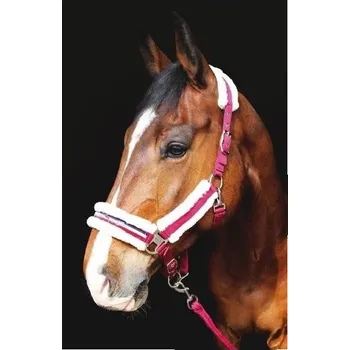 Vybavení pro koně KENTAUR Ohlávka Kentaur podložená beránkem i lícnice + vodítko COB červená