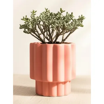 Květináč Sinsay - Keramický květináč - burgundy - 789GL-53X - 789GL-53X-ONE