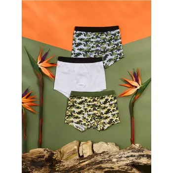 Chlapecké spodní prádlo Sinsay - Bavlněné boxerky 3 pack - vícebarevná - 559DS-MLC - 559DS-MLC-U86