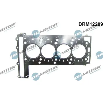 Automobilové těsnění Těsnění, hlava válce DR.MOTOR DRM12209