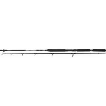 Rybářský prut Prut Daiwa BG Offshore Pilk 2,70 m 50-165 g