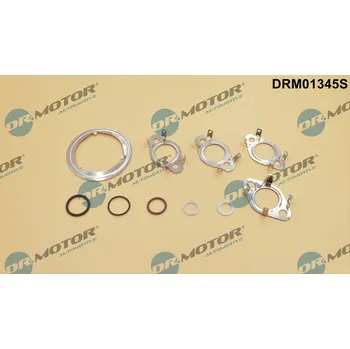 Automobilové těsnění Sada těsnění, AGR systém DR.MOTOR DRM01345S