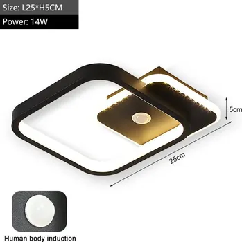 Stropní lampa LED s pohybovým senzorem | osvětlení - Černá 14W , Studená bílá