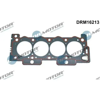 Automobilové těsnění Těsnění, hlava válce DR.MOTOR DRM16213