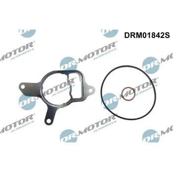 Nářadí pro automobil Sada těsnění, podtlaková pumpa DR.MOTOR DRM01842S