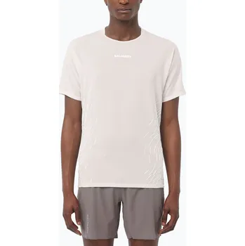 Pánská móda Pánská běžecká tričko Salomon Sense Aero GFX whisper white