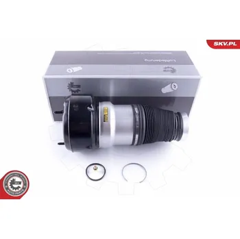 Vzduchová pružina, podvozek SKV 58SKV038