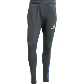 Pánské kalhoty Kalhoty adidas OL TR PNT 2025/26 jl7707 Velikost L