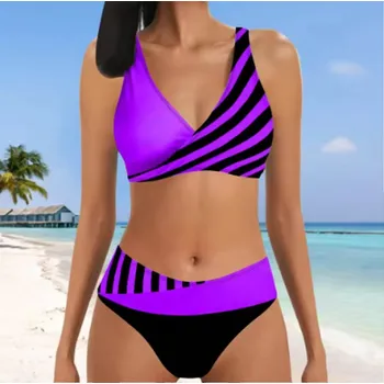Dámské plavky Dámské plavky dvojdílné s vysokým pasem - dvoubarevné s proužkem (vel. S-5XL) Barva: Fialová, Velikost: 4XL